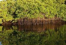 Santa Cruz Island - Combined Hotel & Yacht